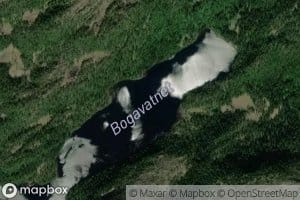Bogavatnet
