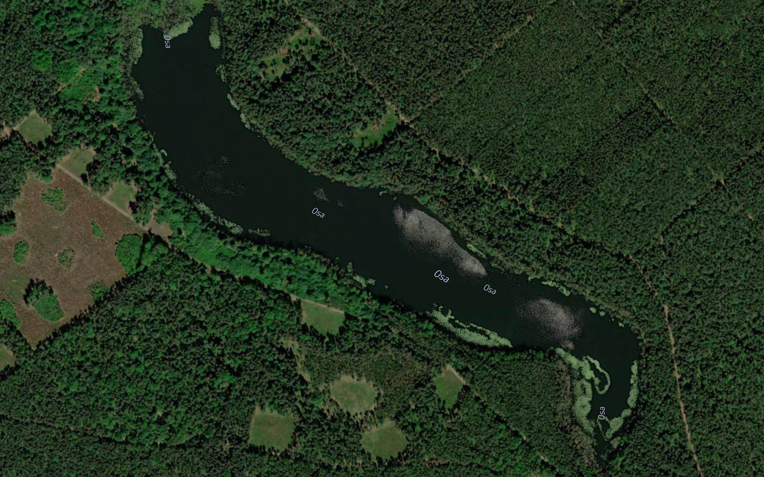 Jezioro Osa