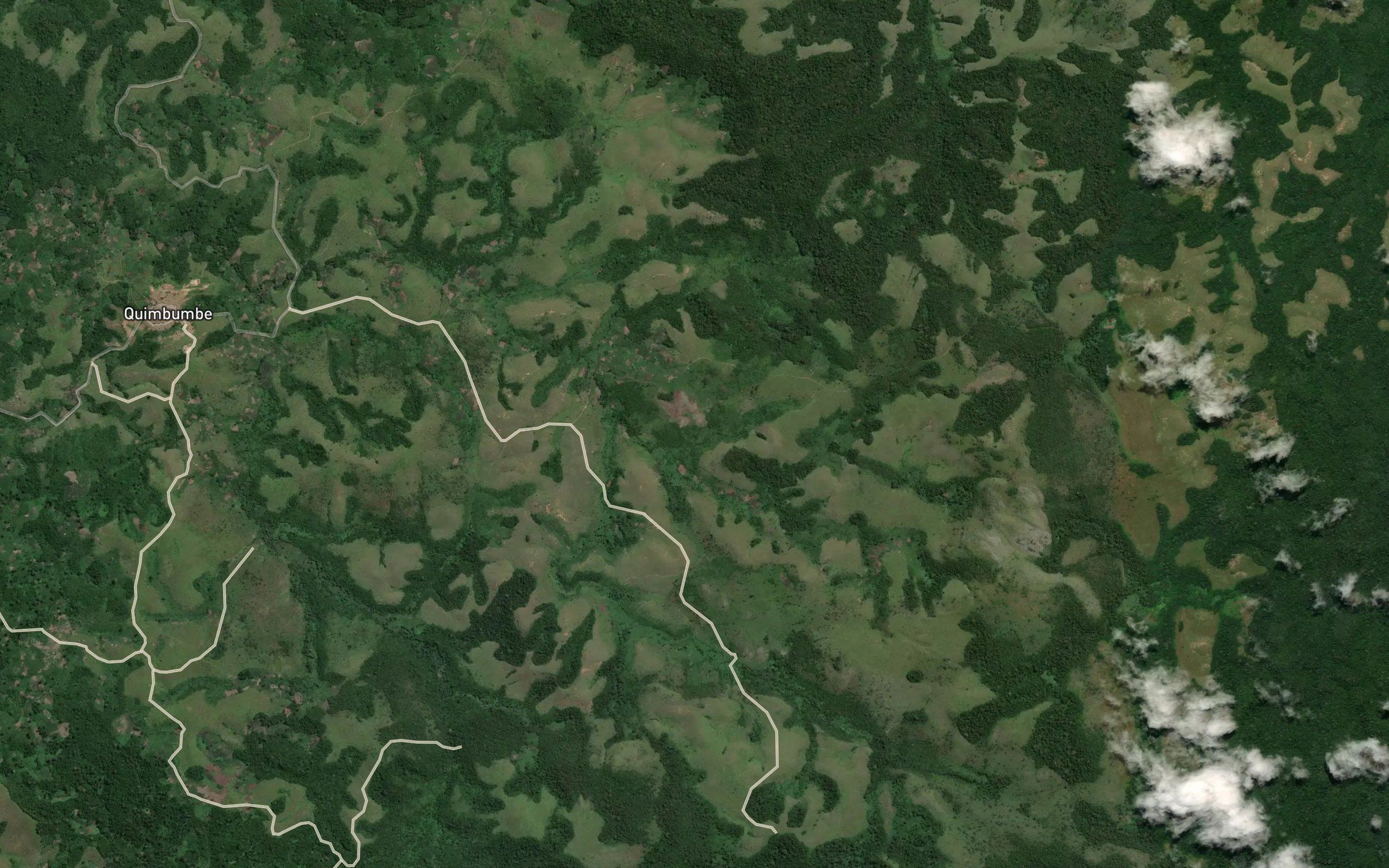 Bua