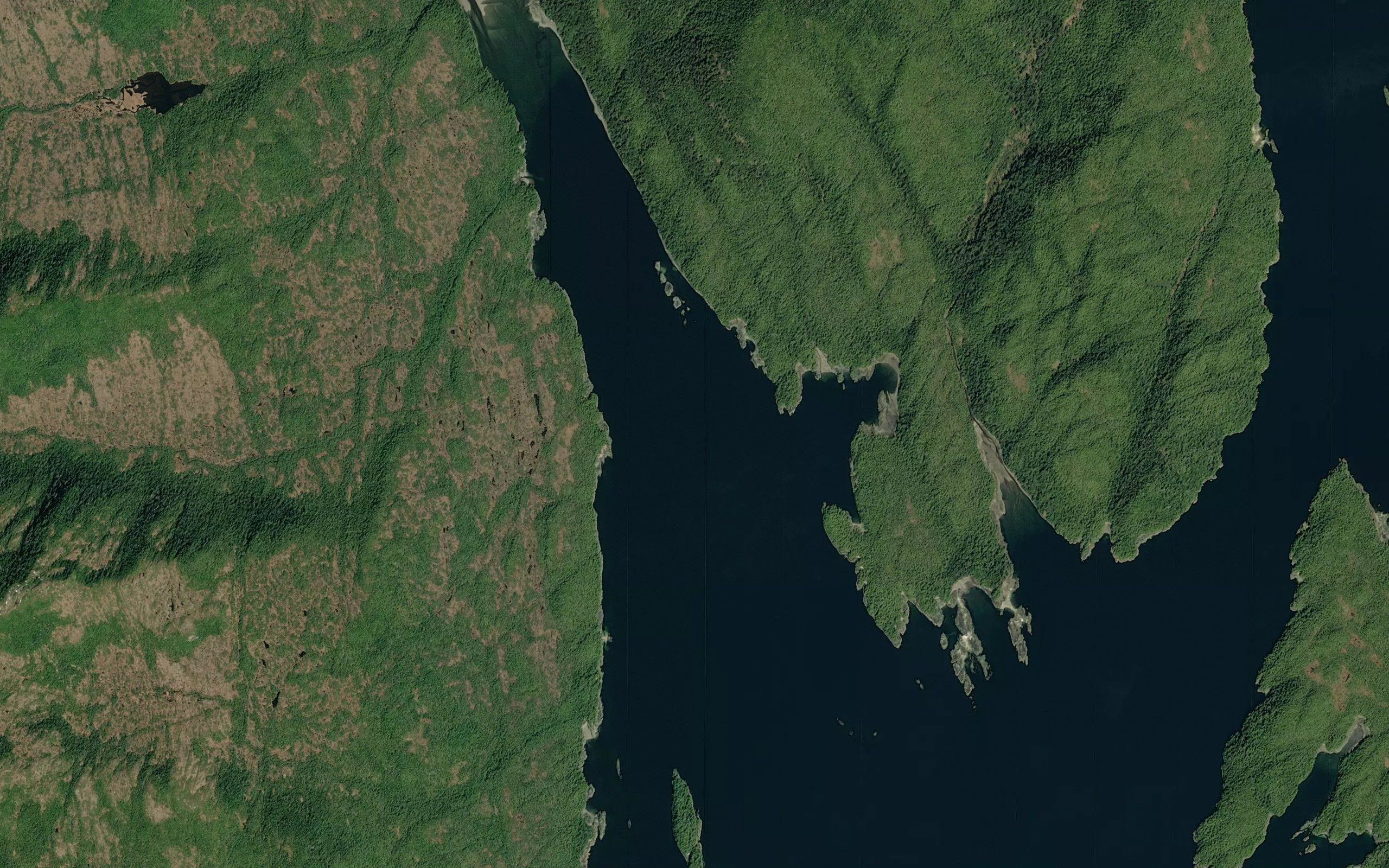 Harry Bay