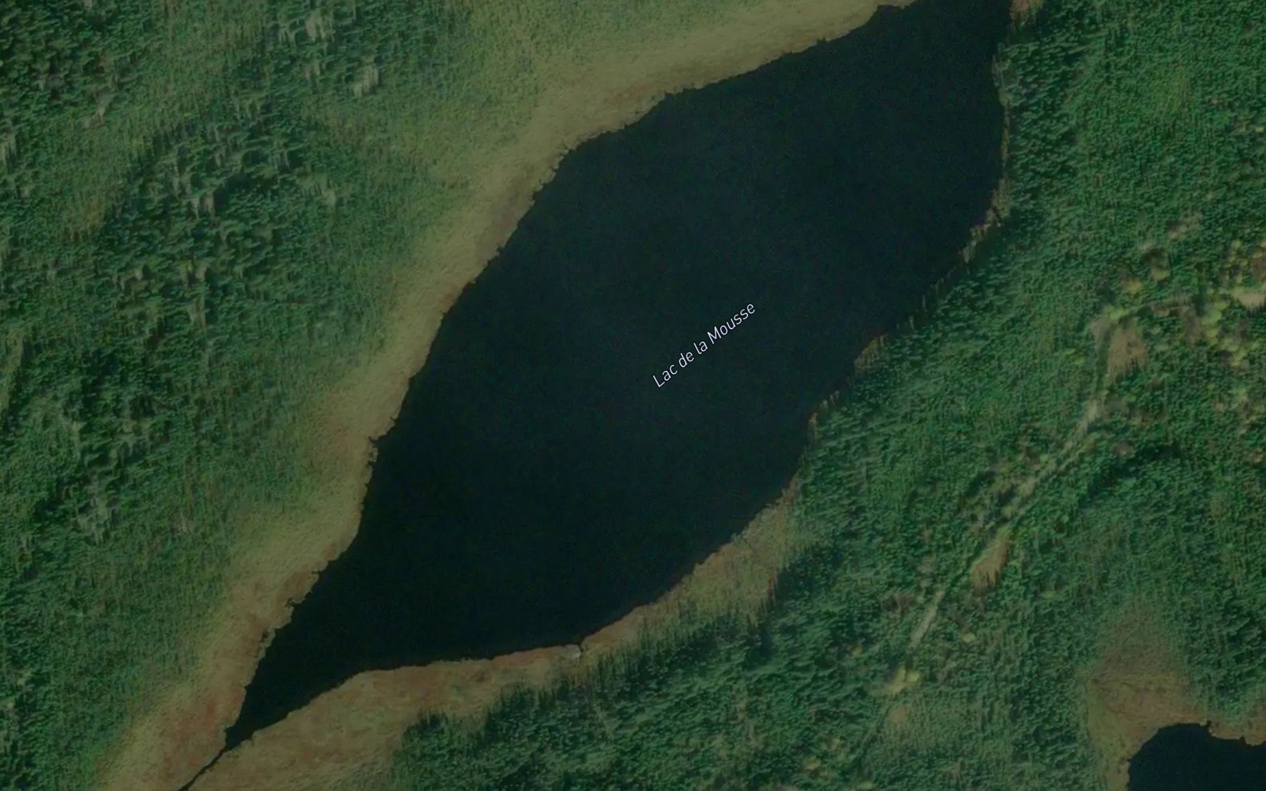 Satellite map of the Lac de la Mousse