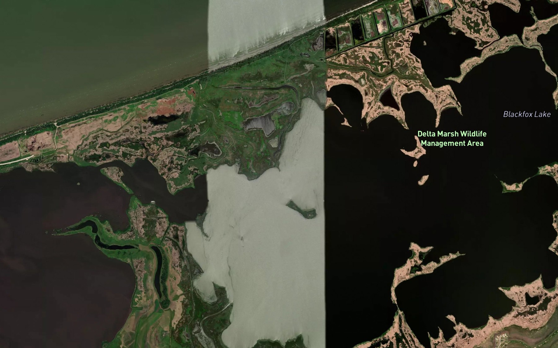 Satellite map of the Cooks Creek
