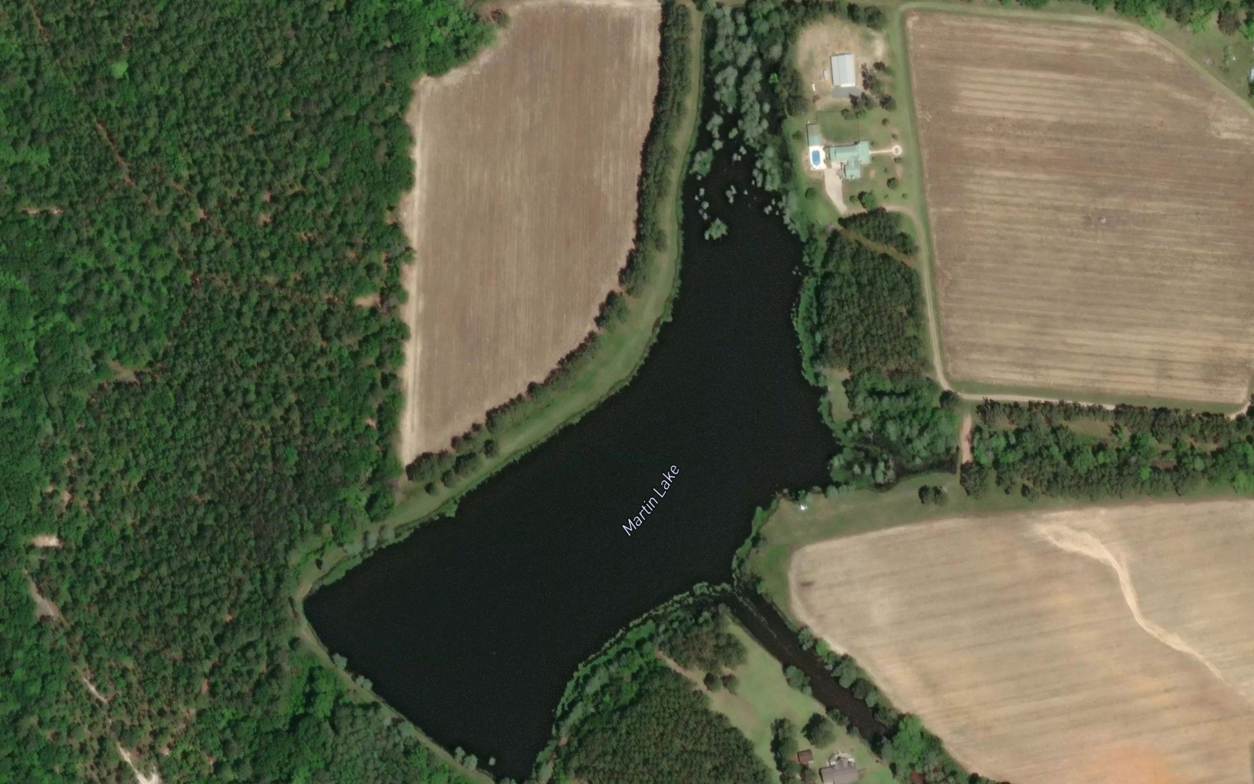 Martin Lake