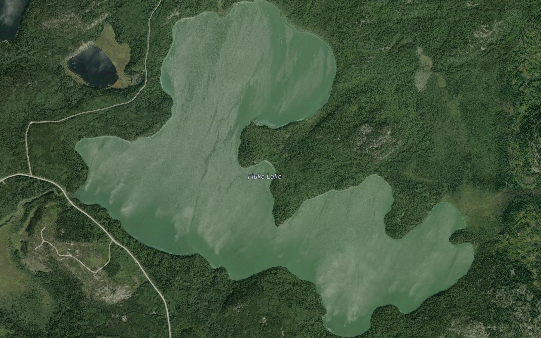 Satellite map of the Fluke Lake
