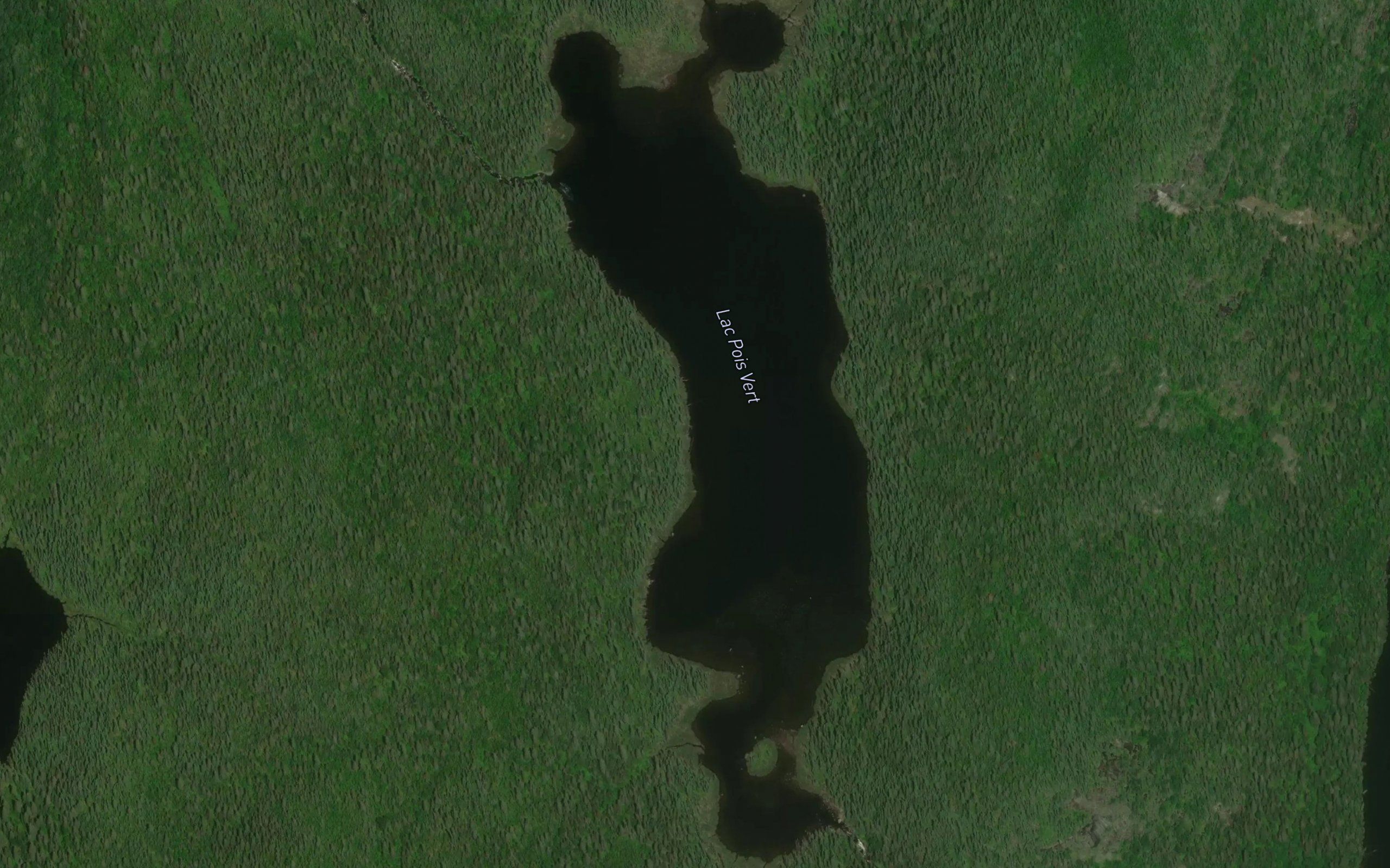 Lac Pois Vert