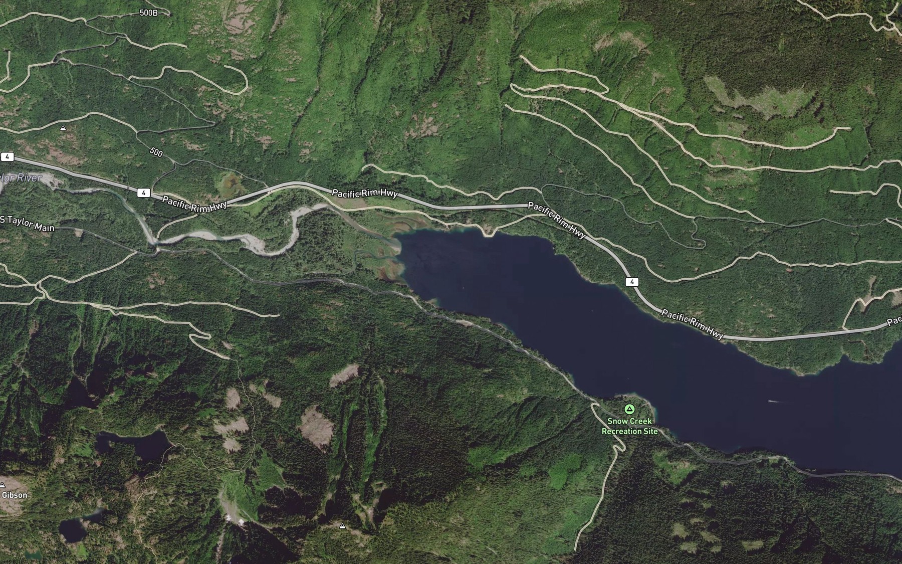Satellite map of the Taylor Arm