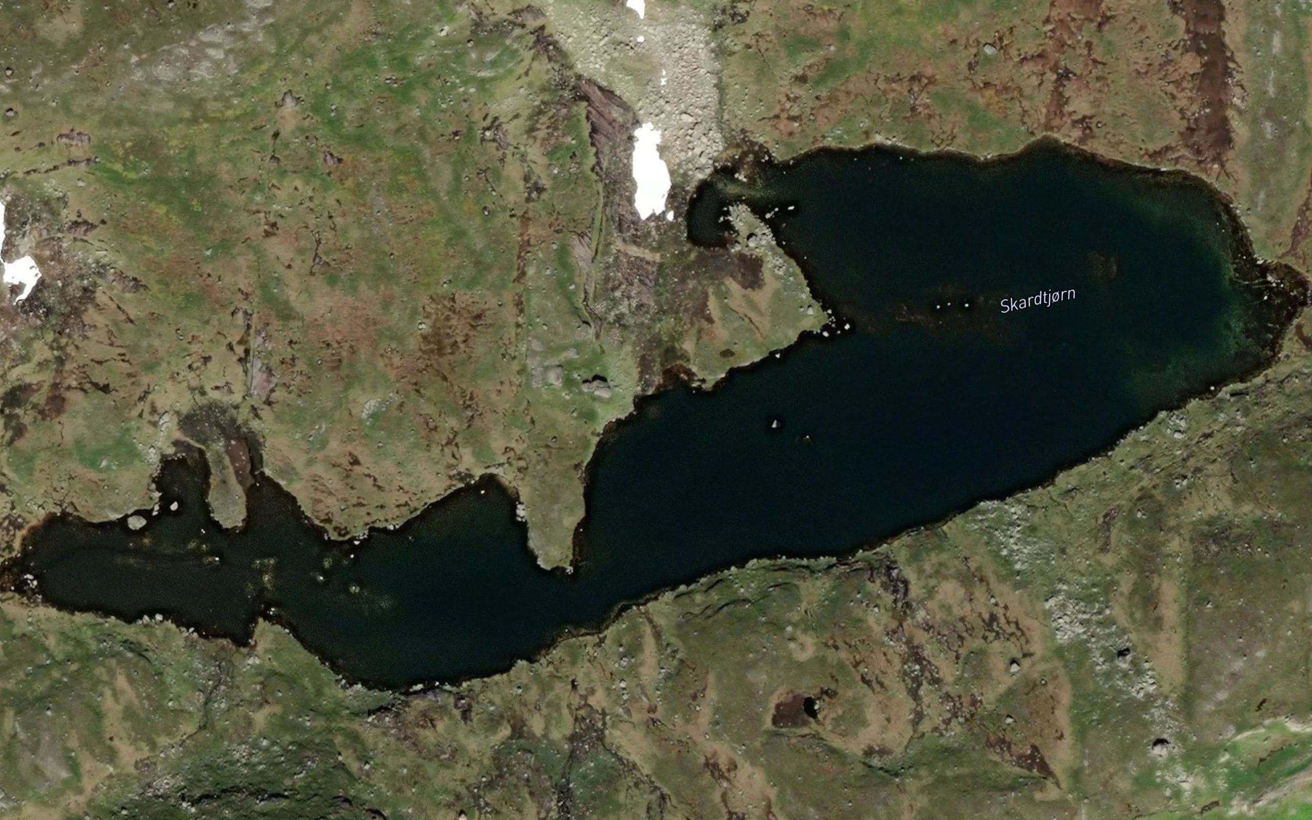 Skardtjorn