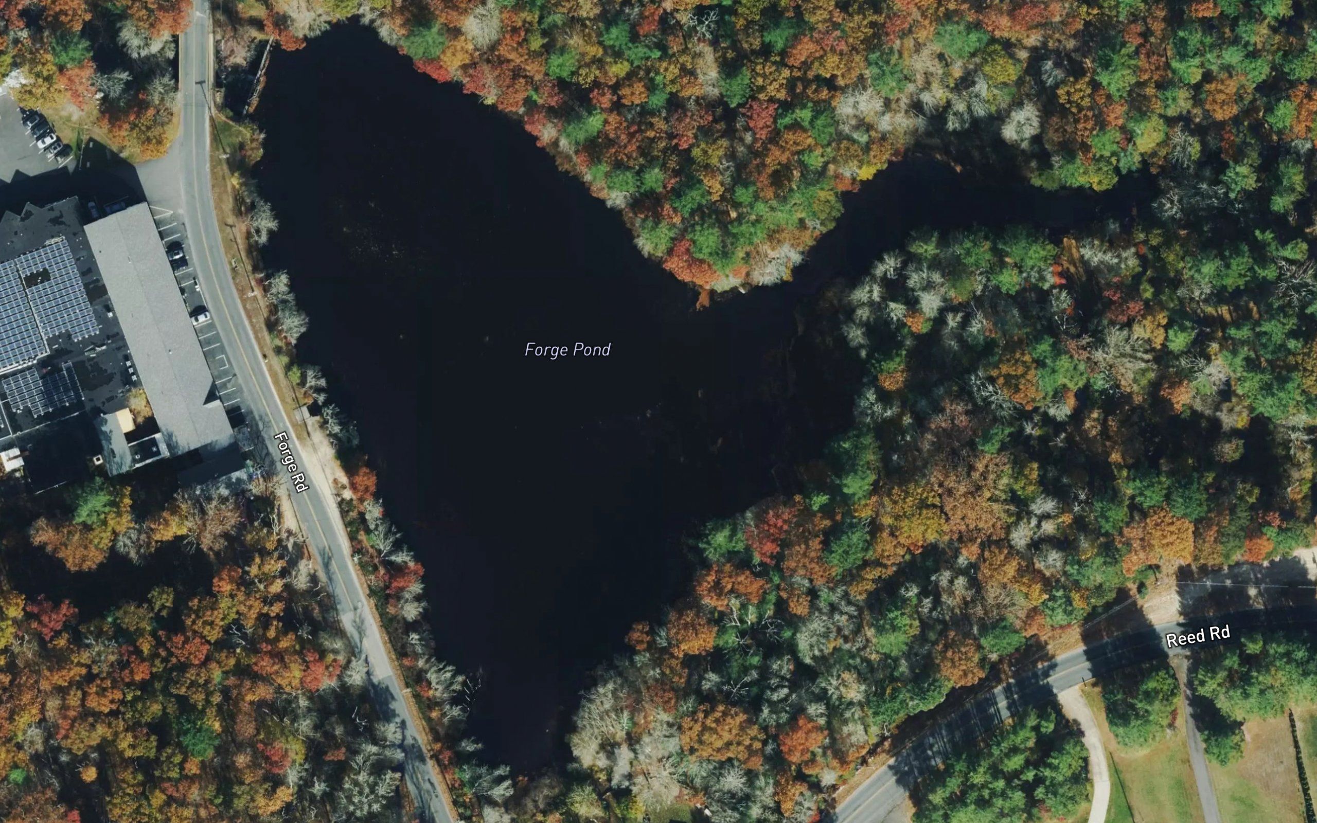 Forge Pond