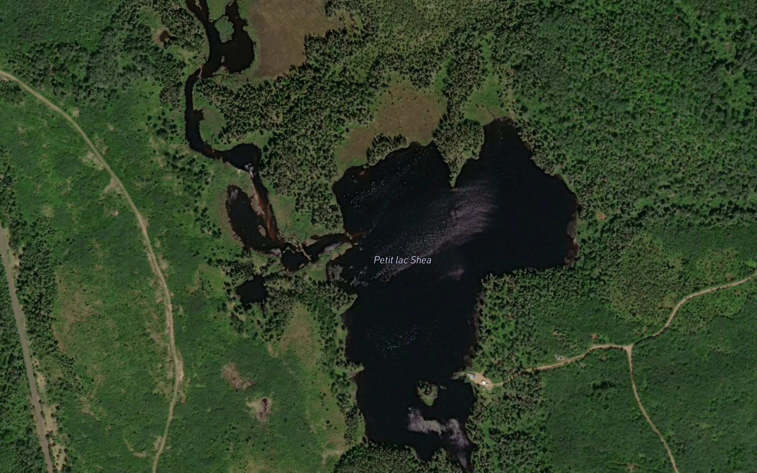 Petit lac Shea