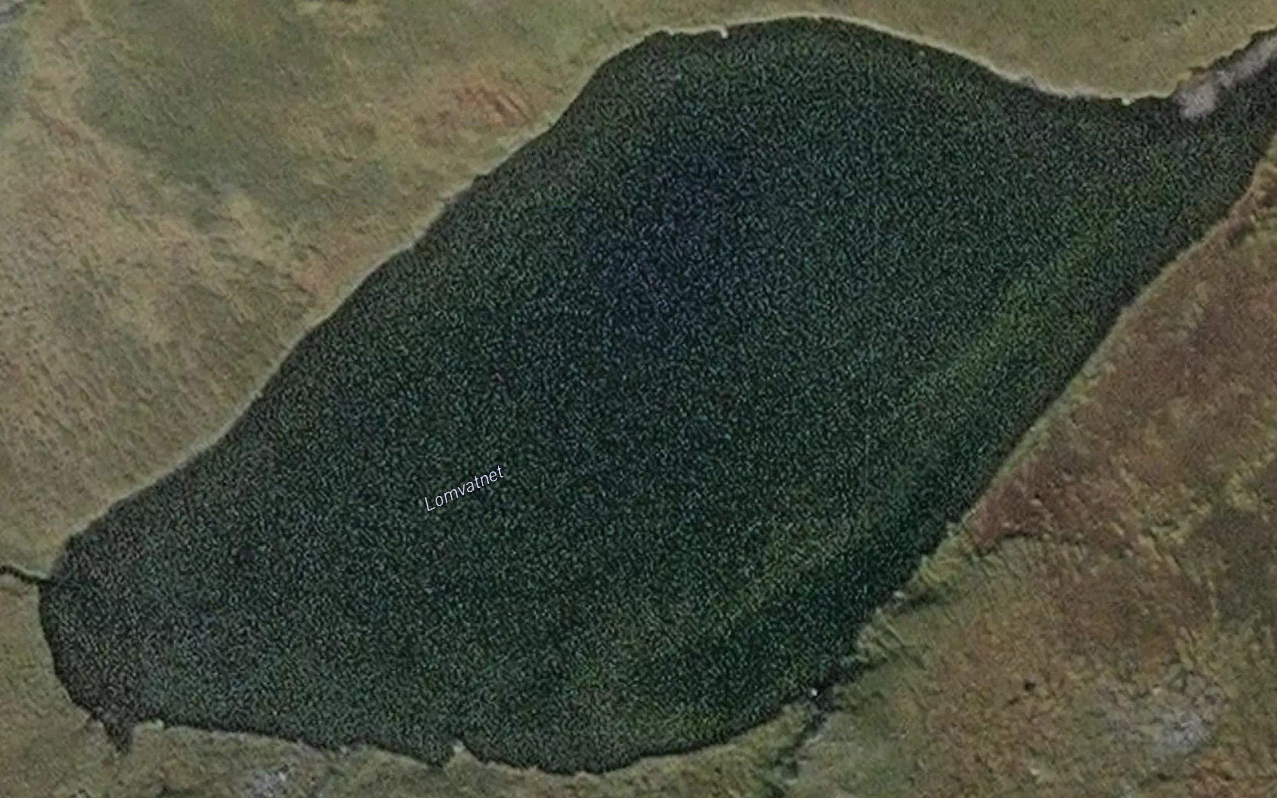 Lomvatnet