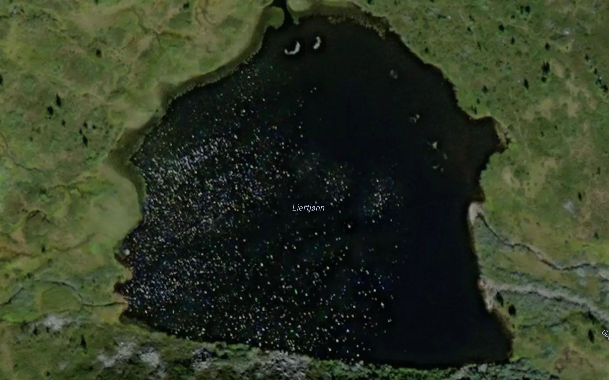 Leirtjorn