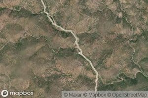 Mesquite Seep