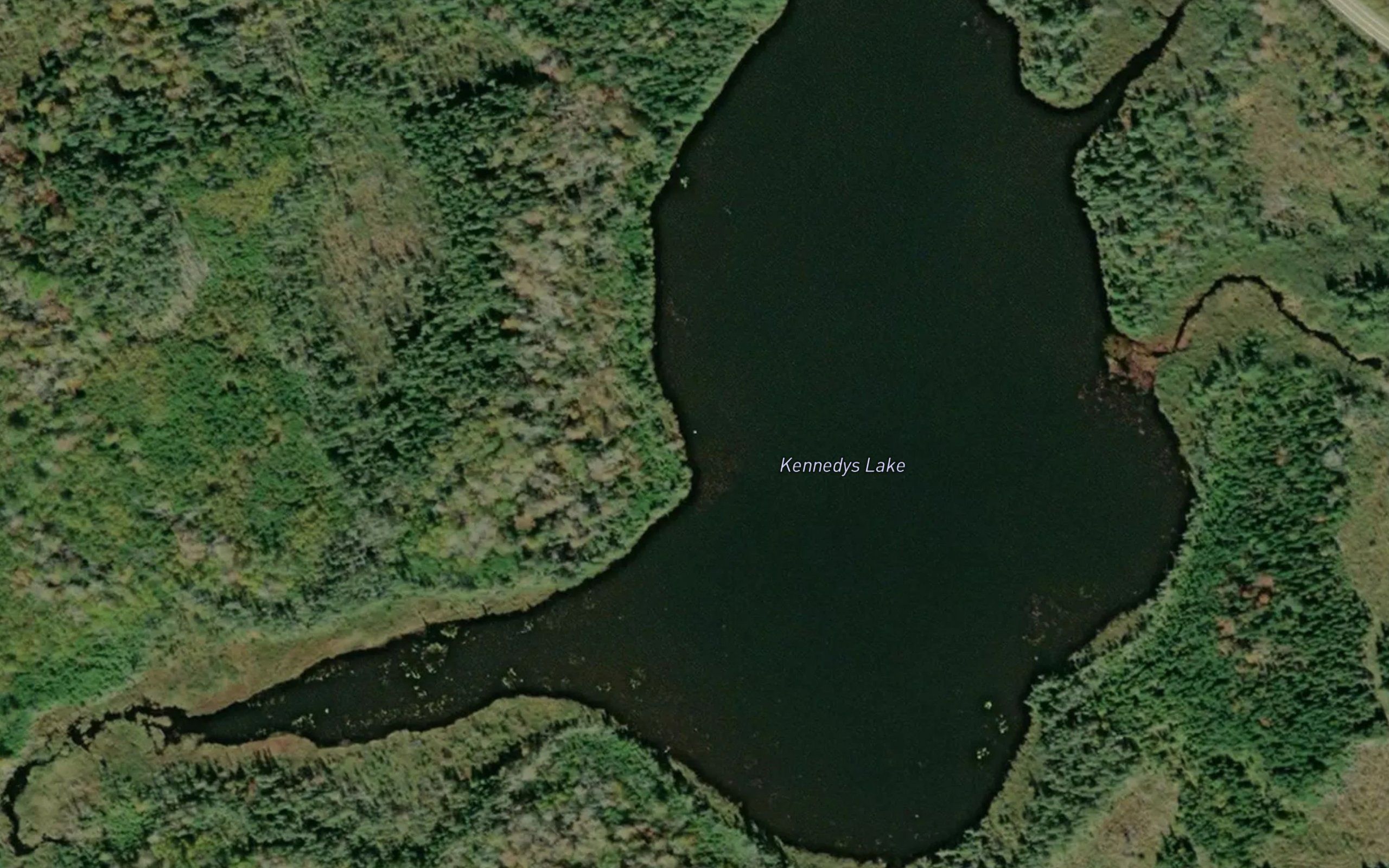Kennedys Lake