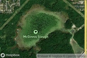 McGinnis Slough