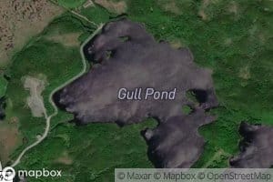Gull Pond