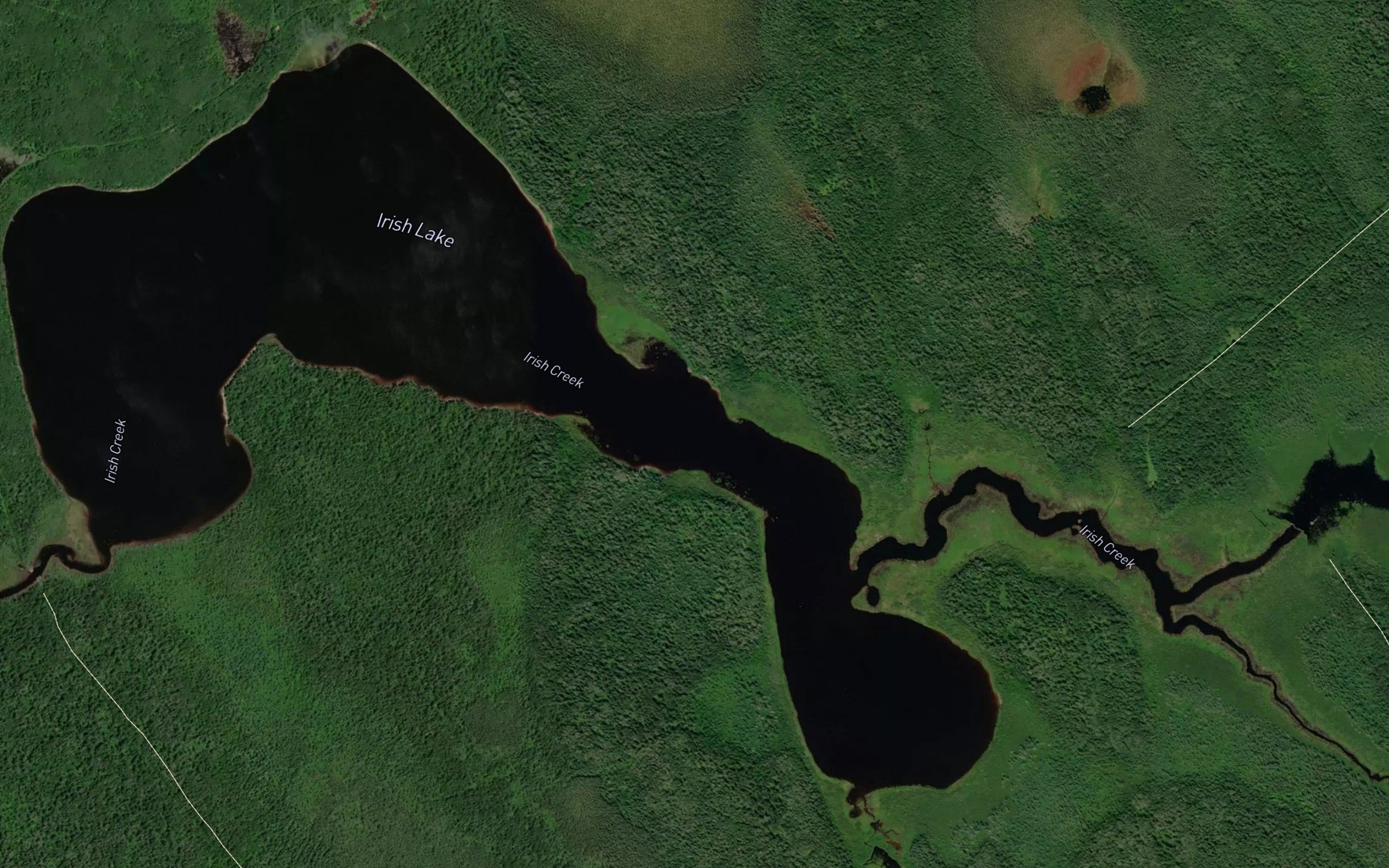 Satellite map of the Irish Lake