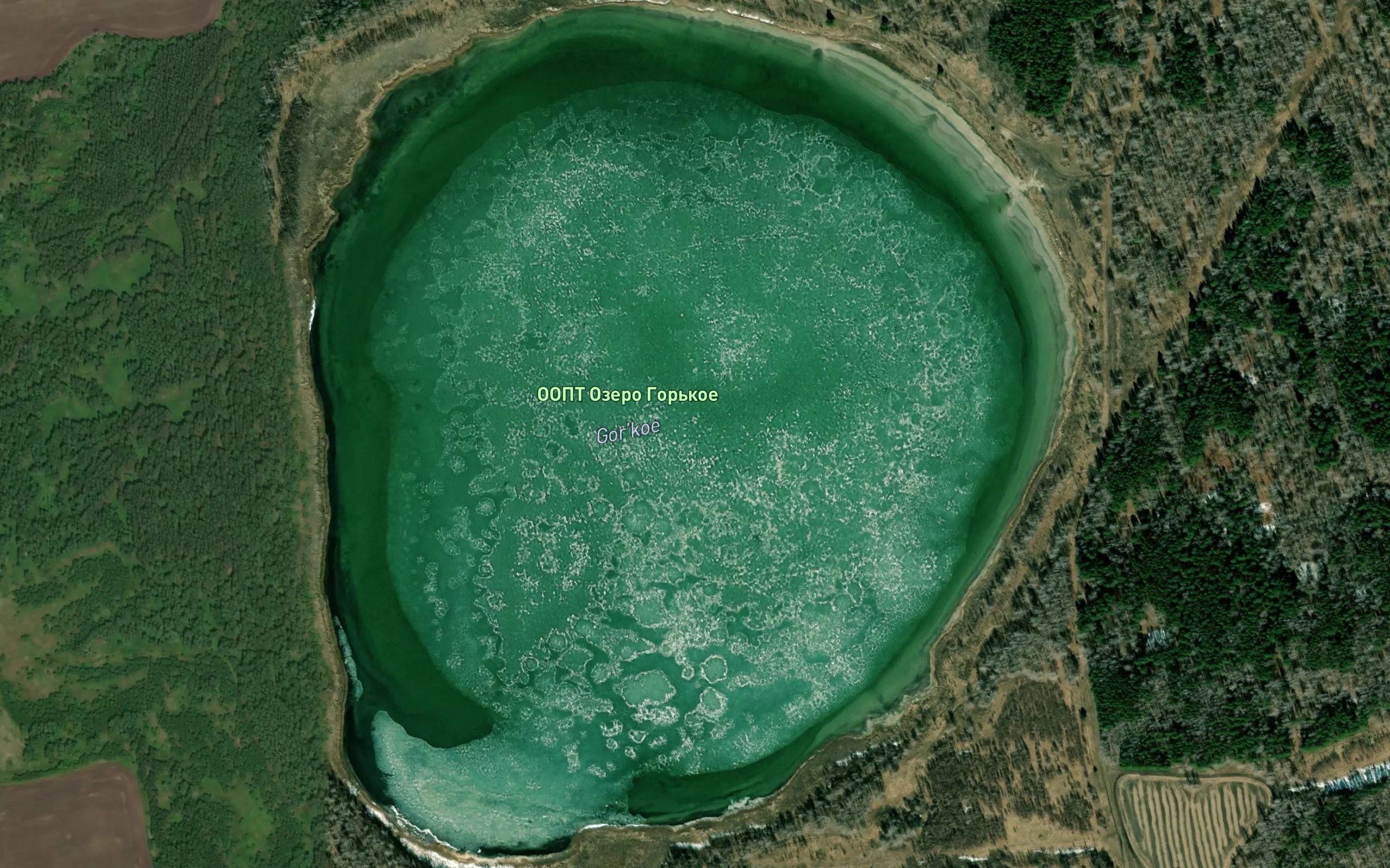 Ozero Gor'koye