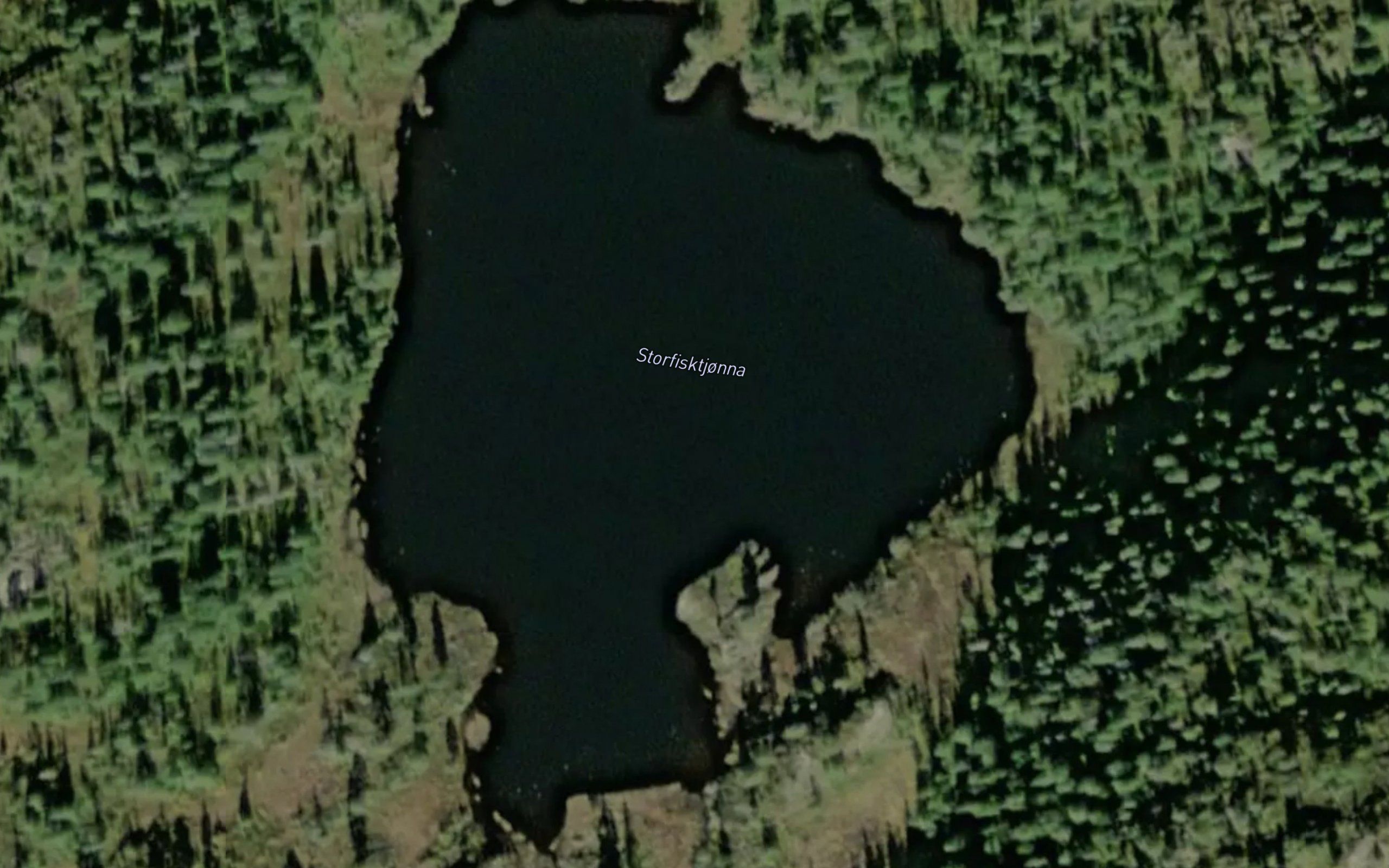 Storfisktjorna