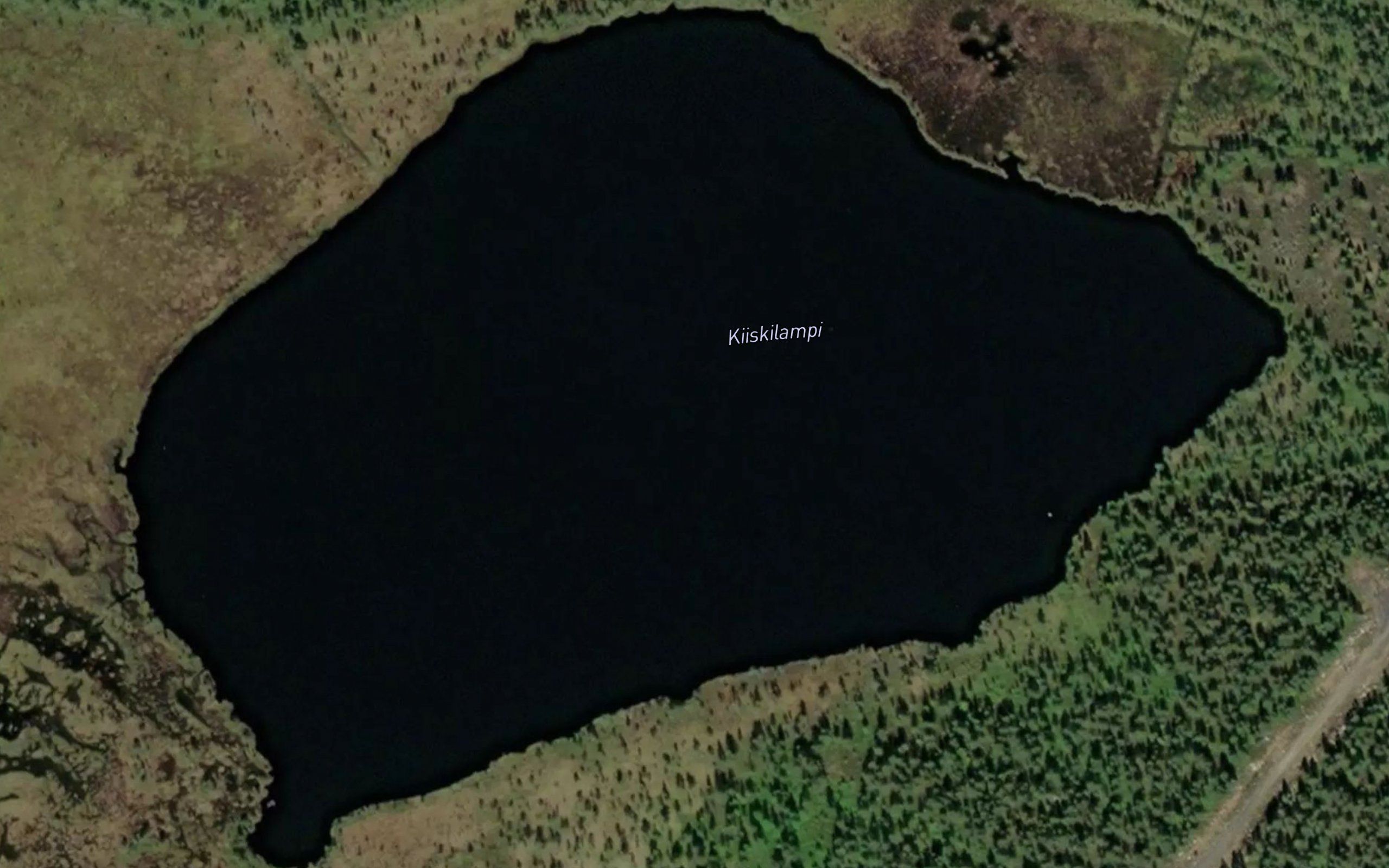 Kiiskilampi