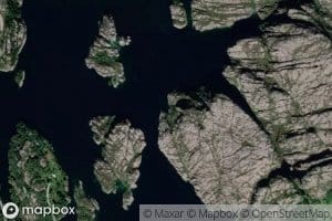 Leivika