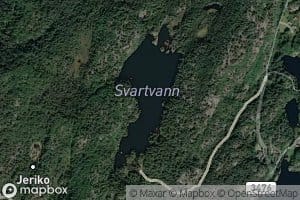 Svartvann