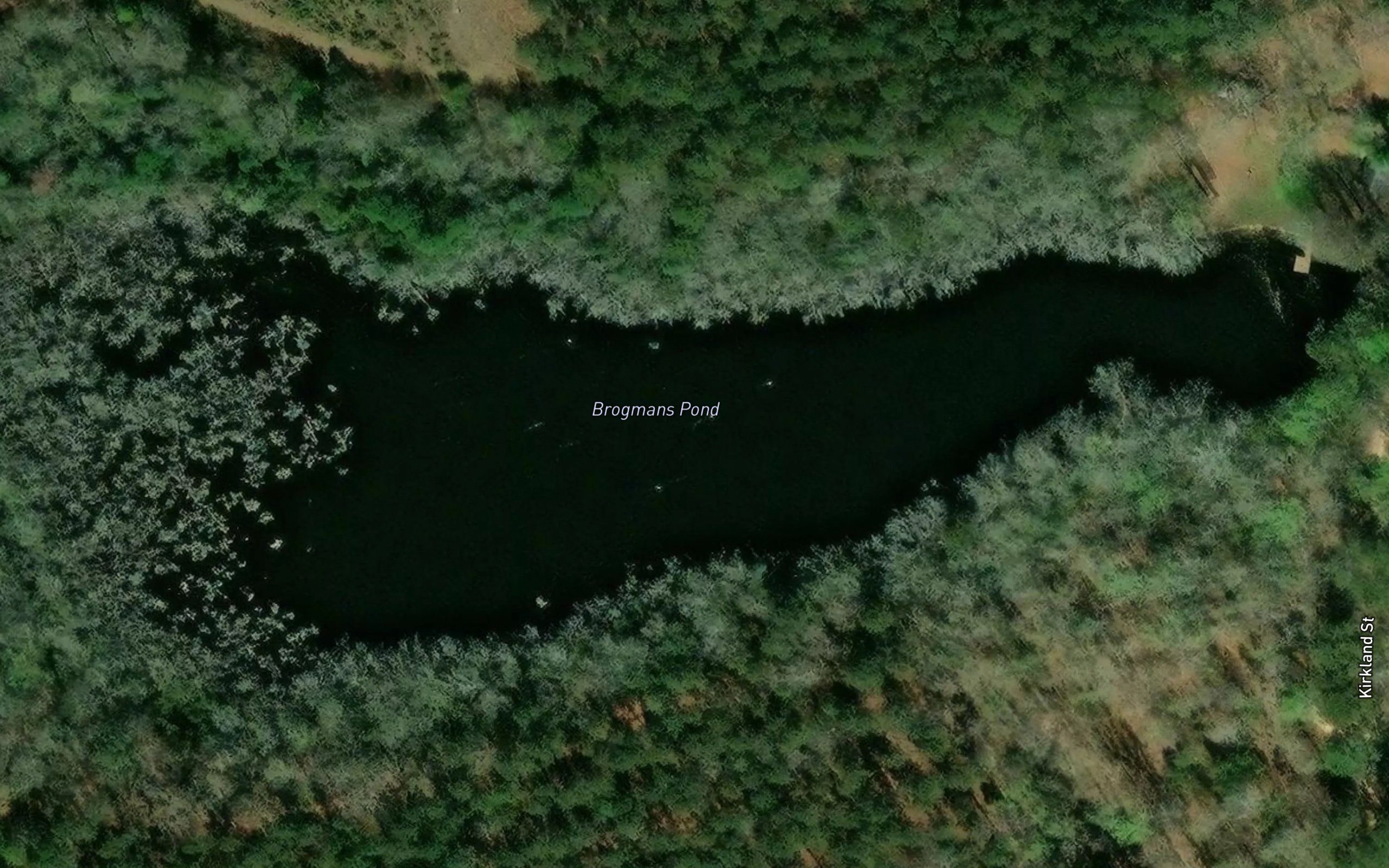 Brogmans Pond