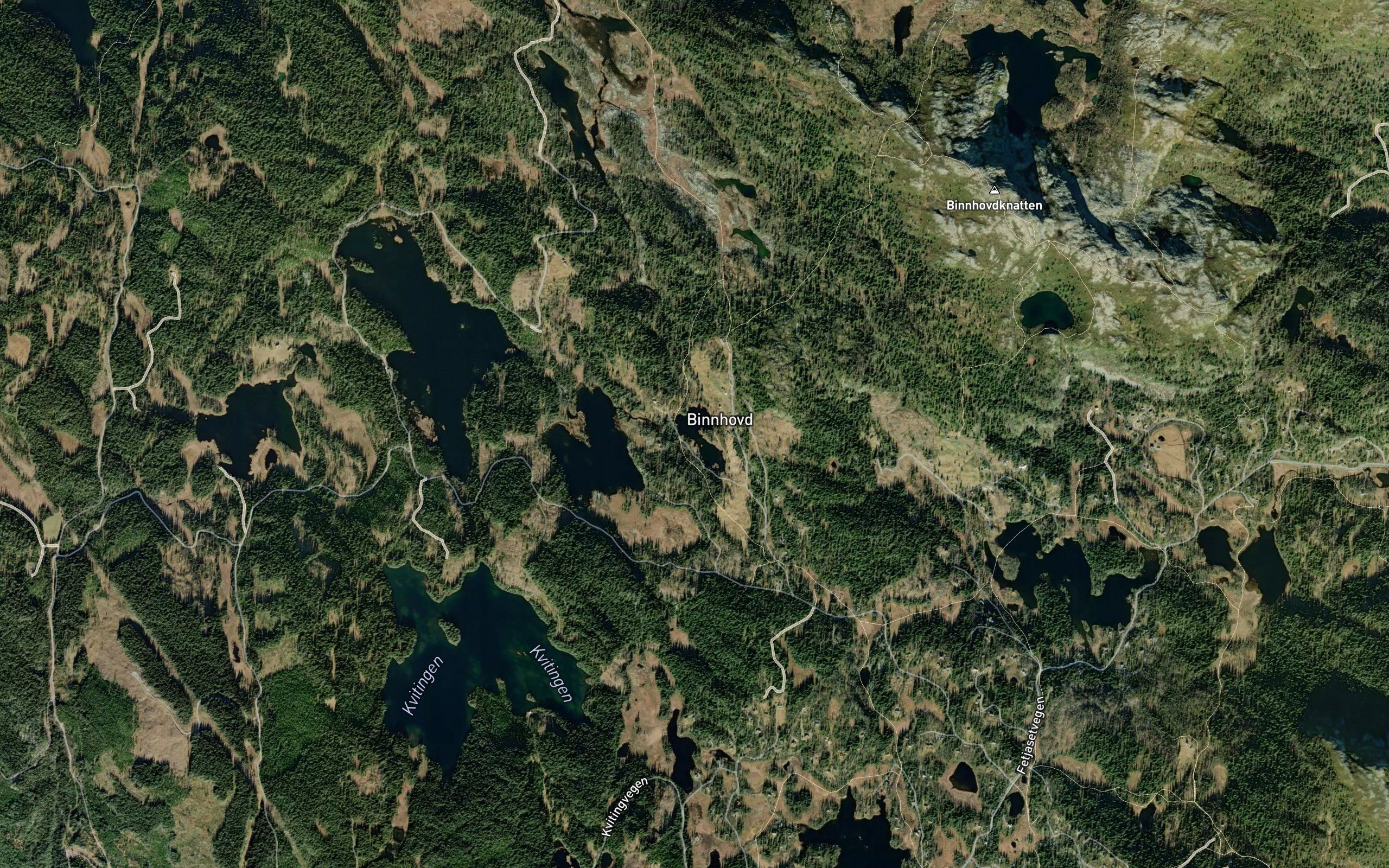 Binnhovdtjednet