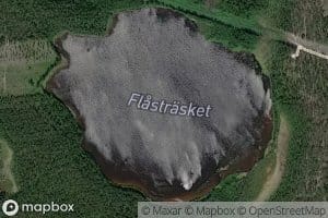 Flastraesket