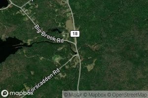 Beaver Meadow Brook