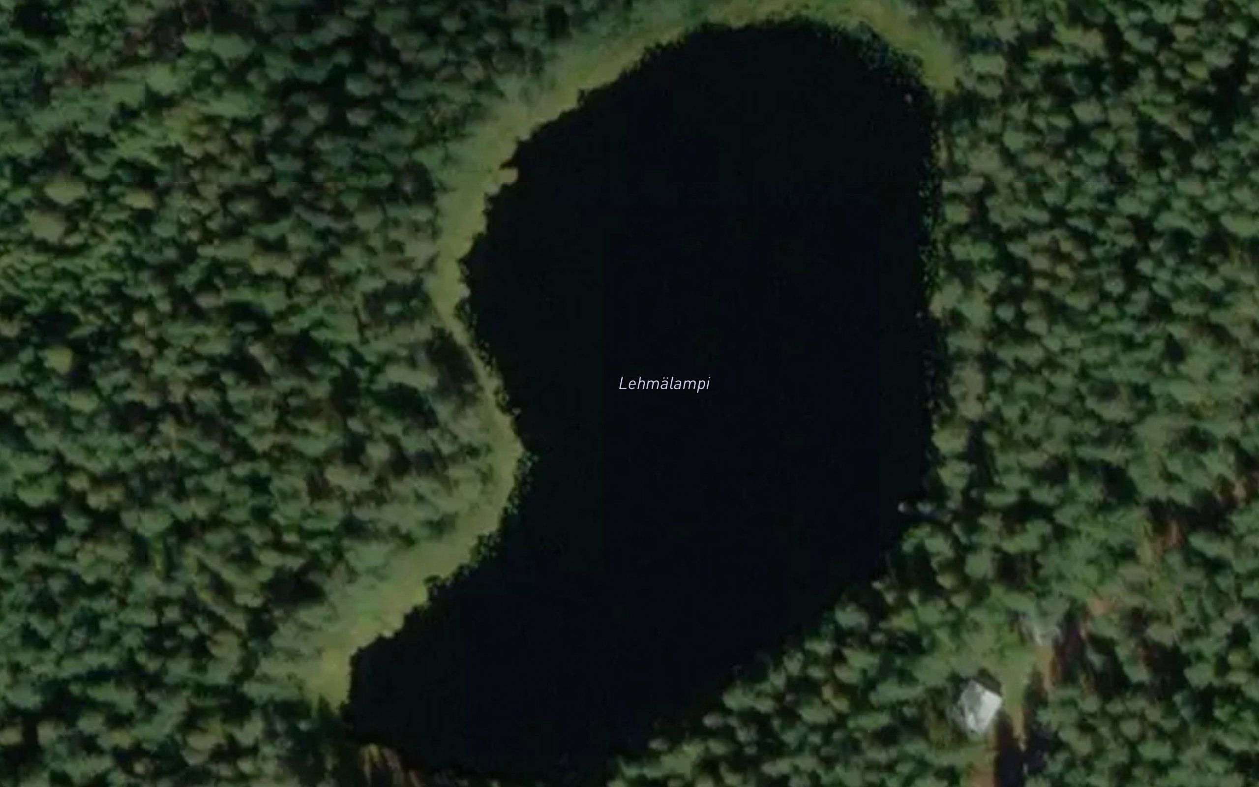 Lehmalampi