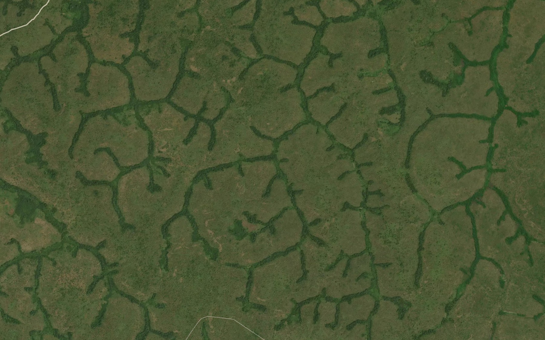 Satellite map of the Tigara