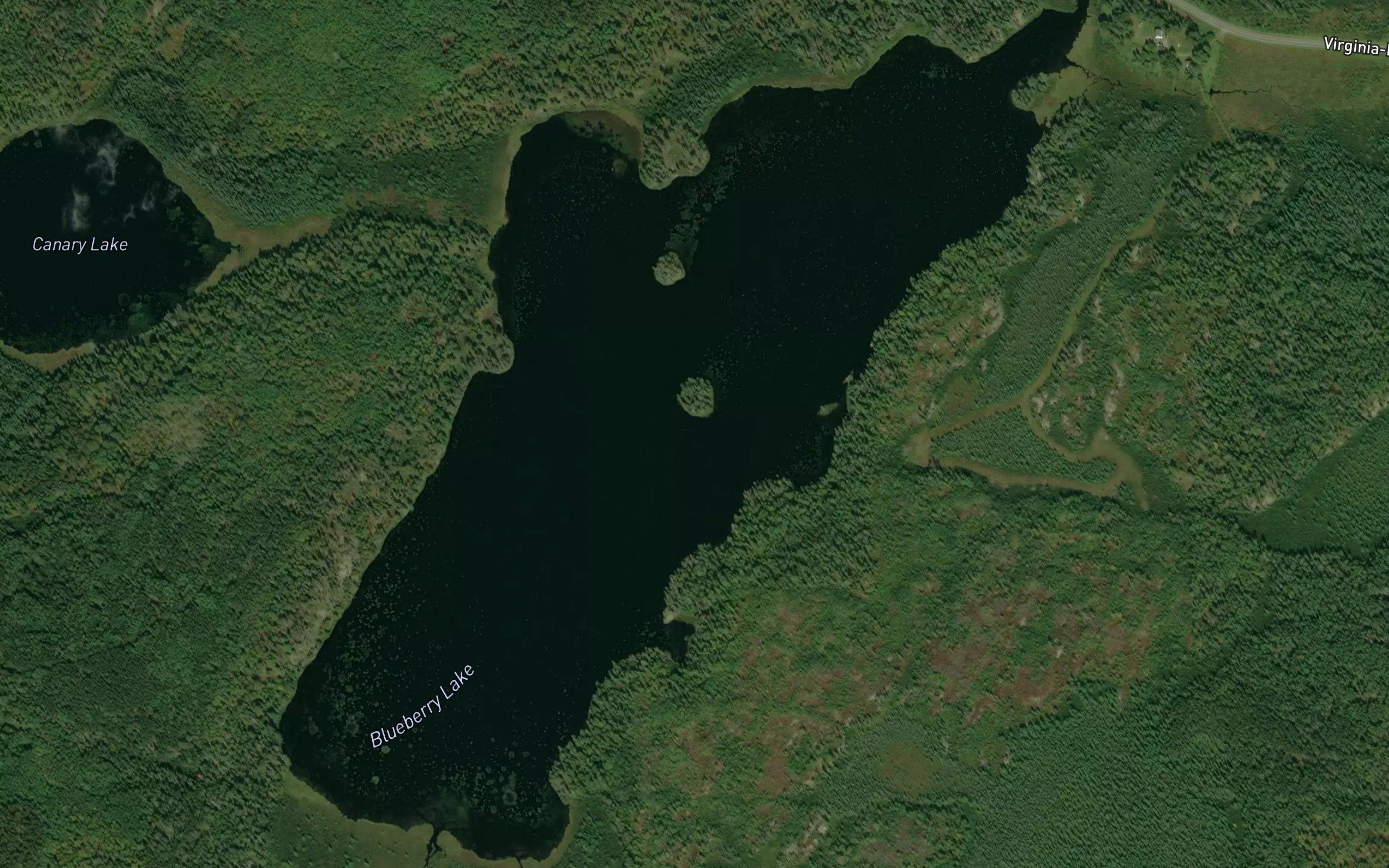 Blueberry Lake