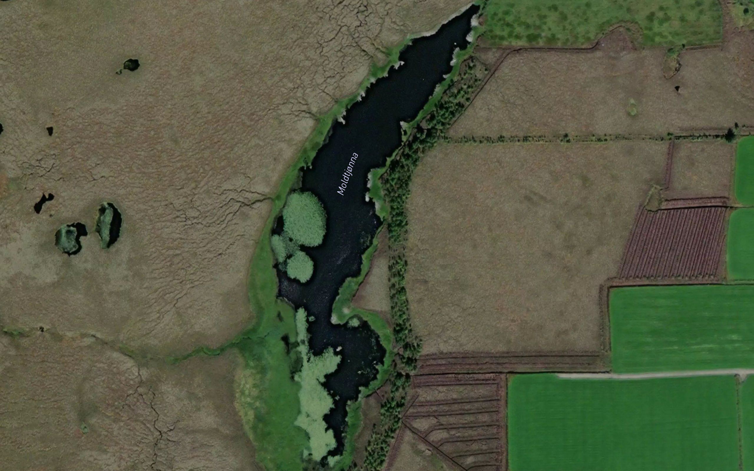 Moldtjorna