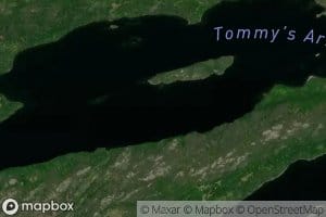 Tommy's Arm