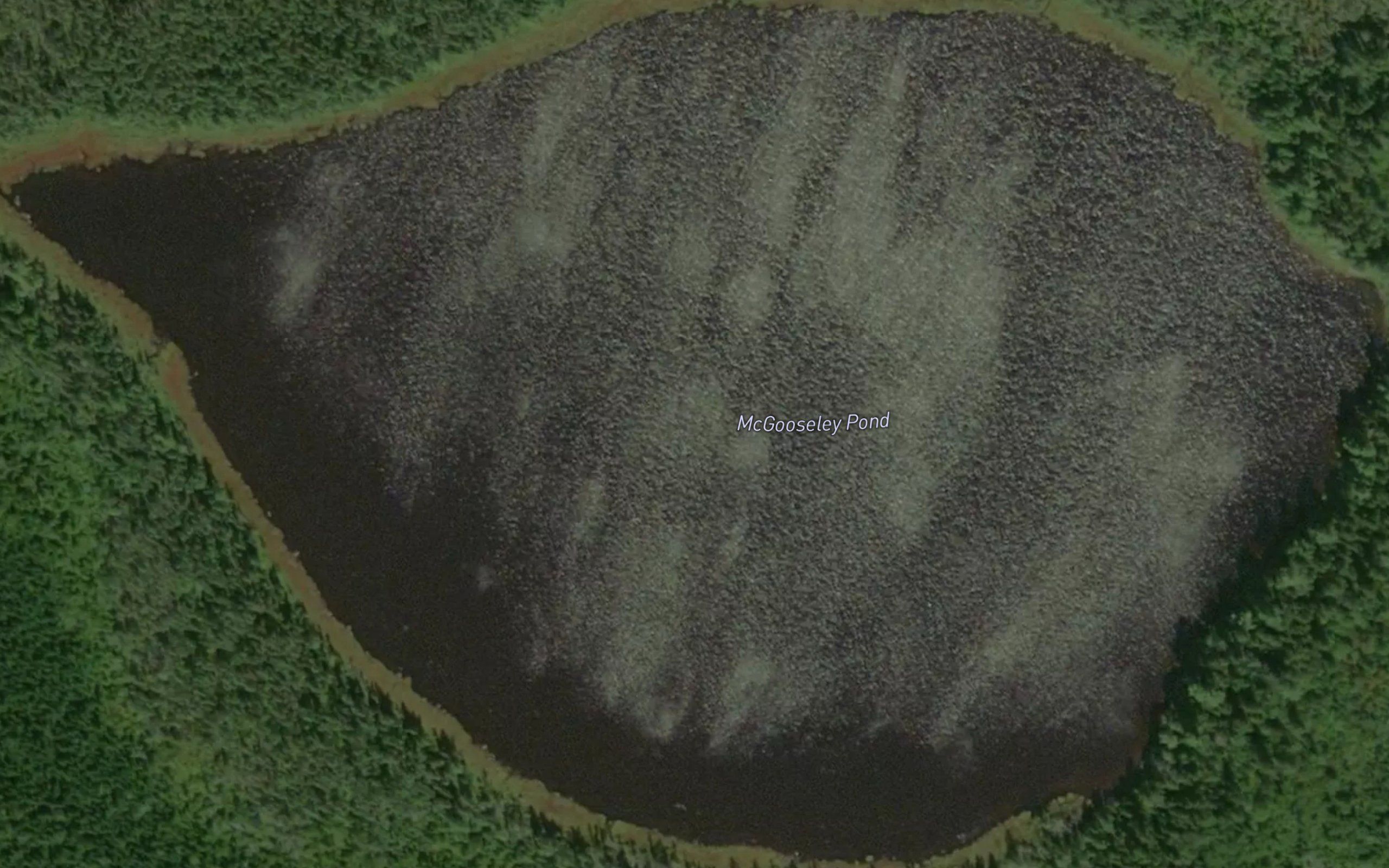 McGooseley Pond