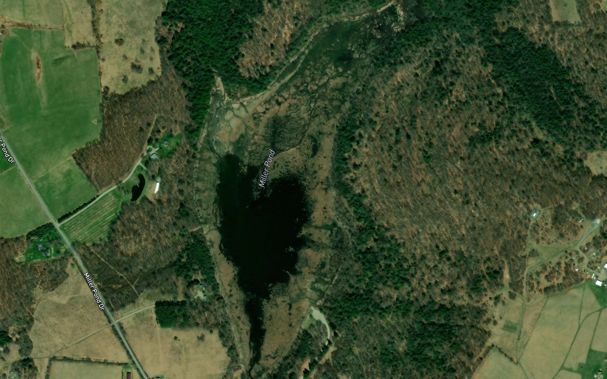 Miller Pond