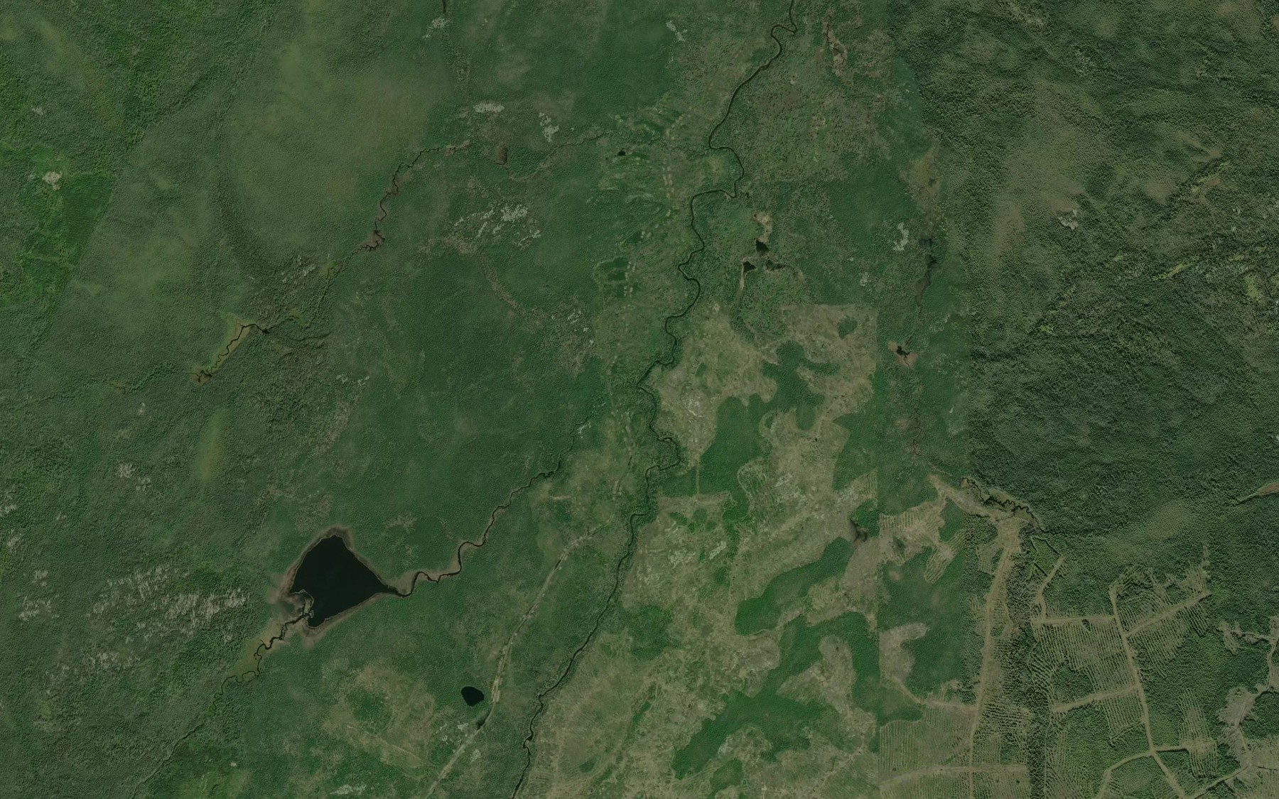 Satellite map of the Downer Creek