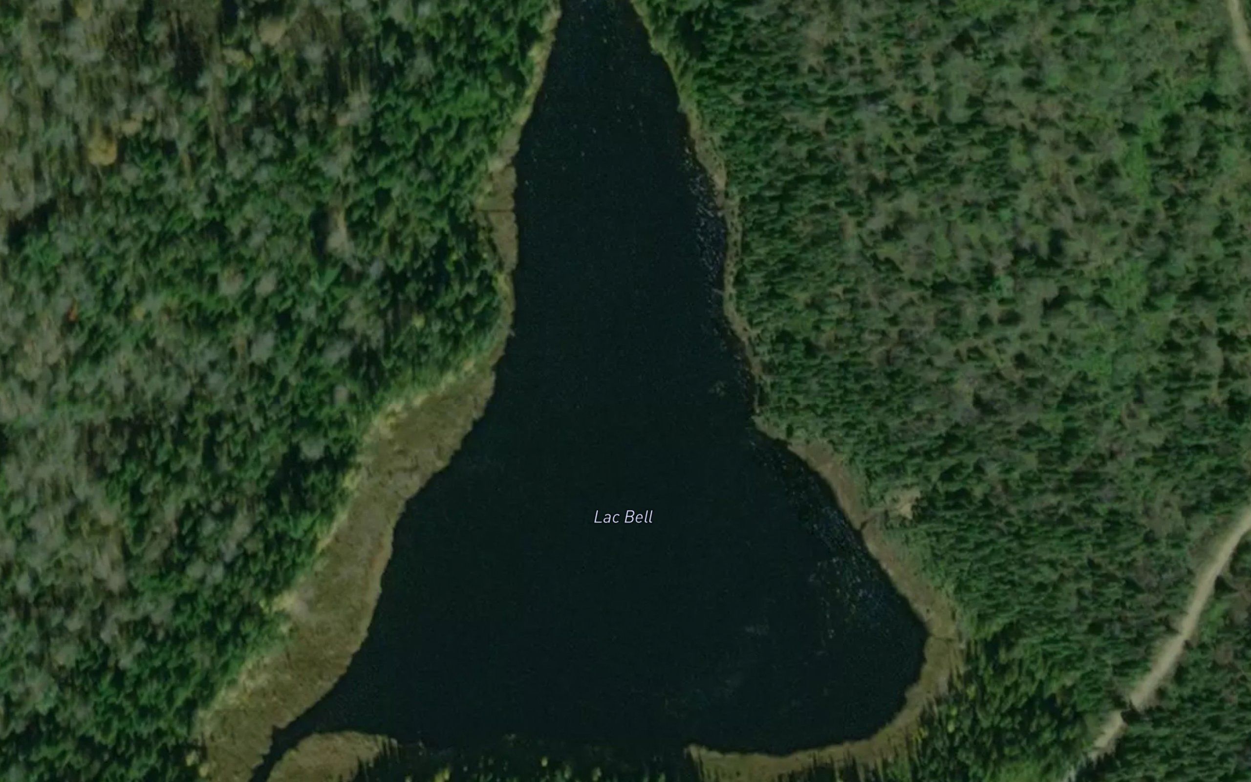 Lac Bell