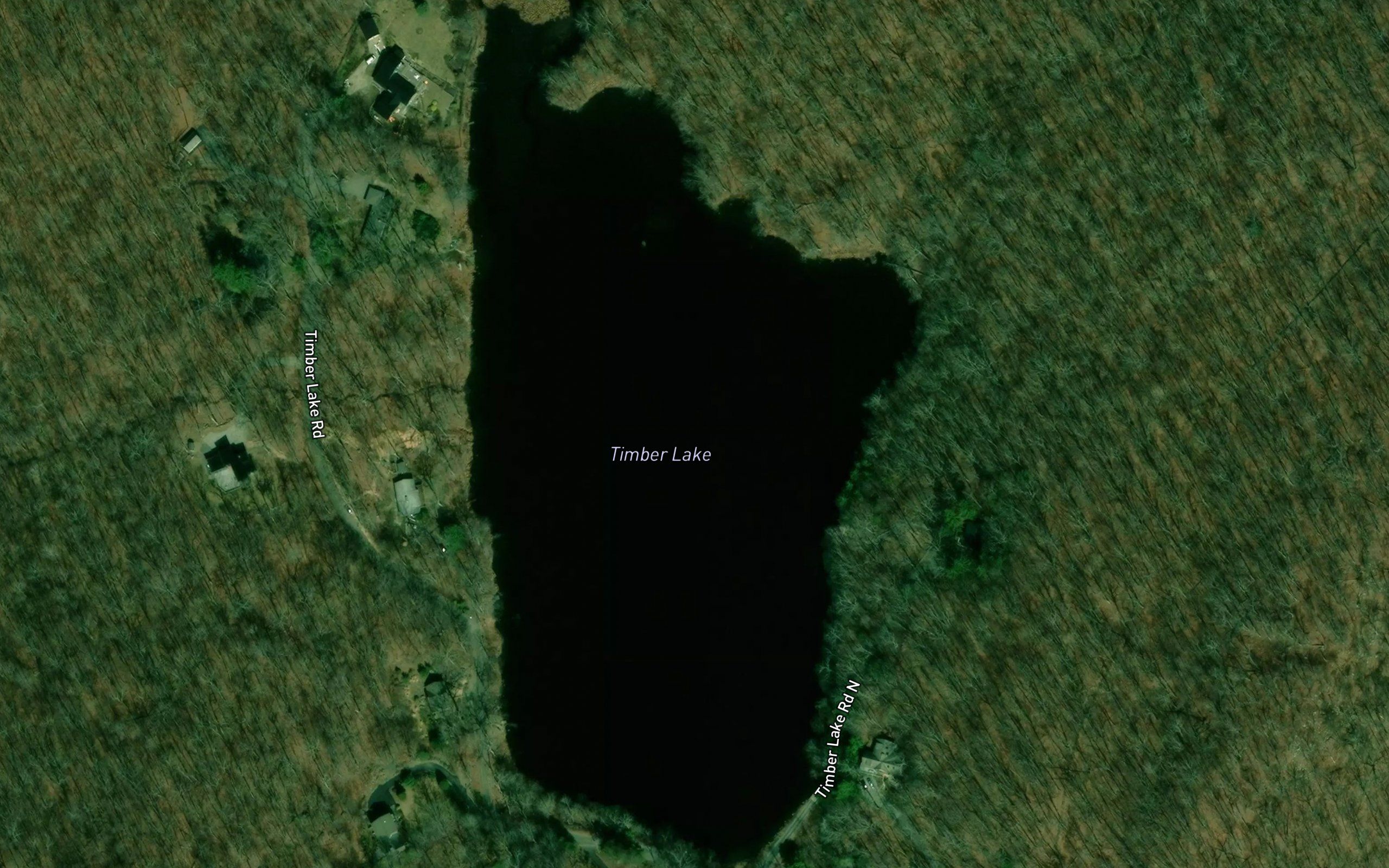 Timber Lake