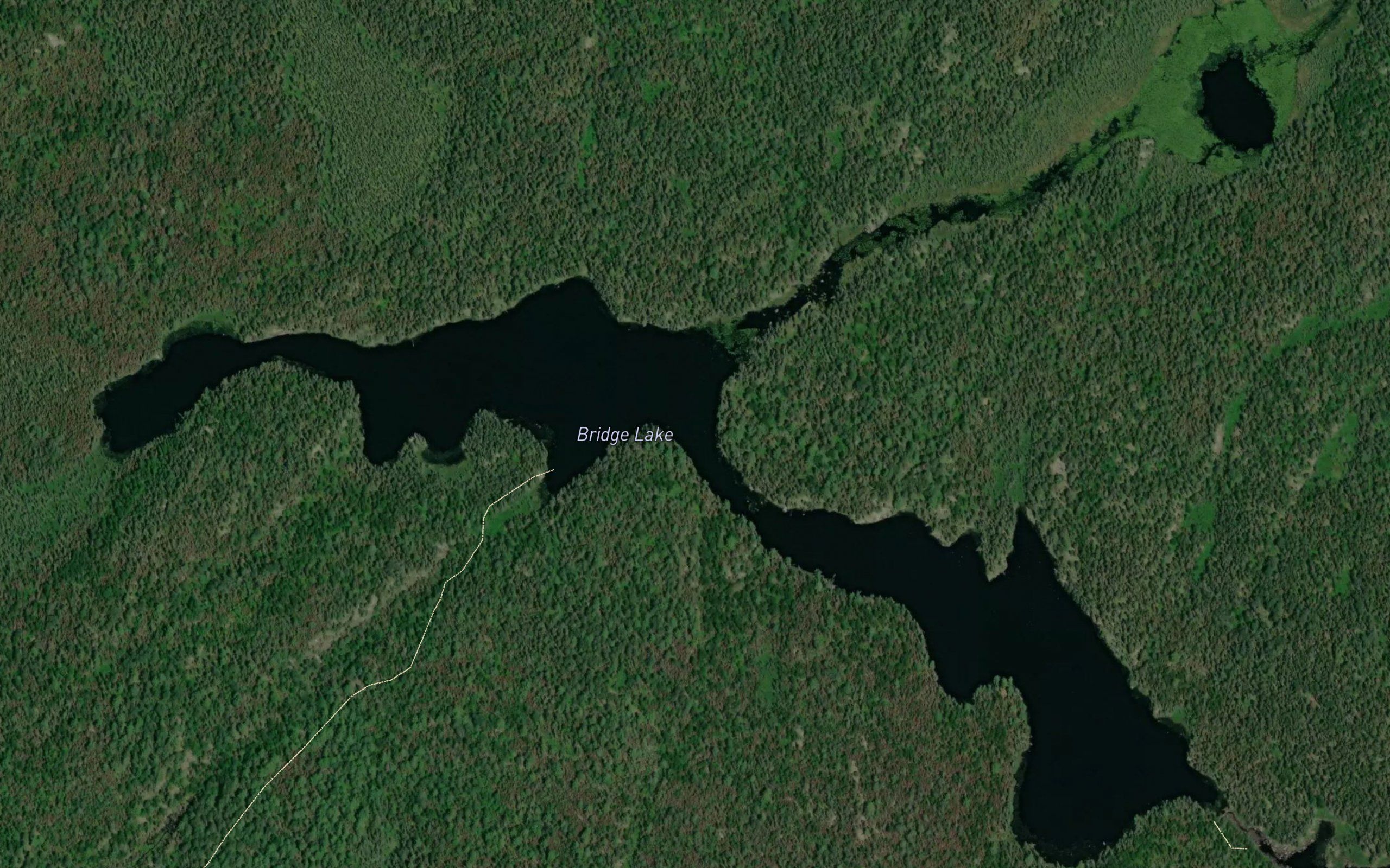 Bridge Lake