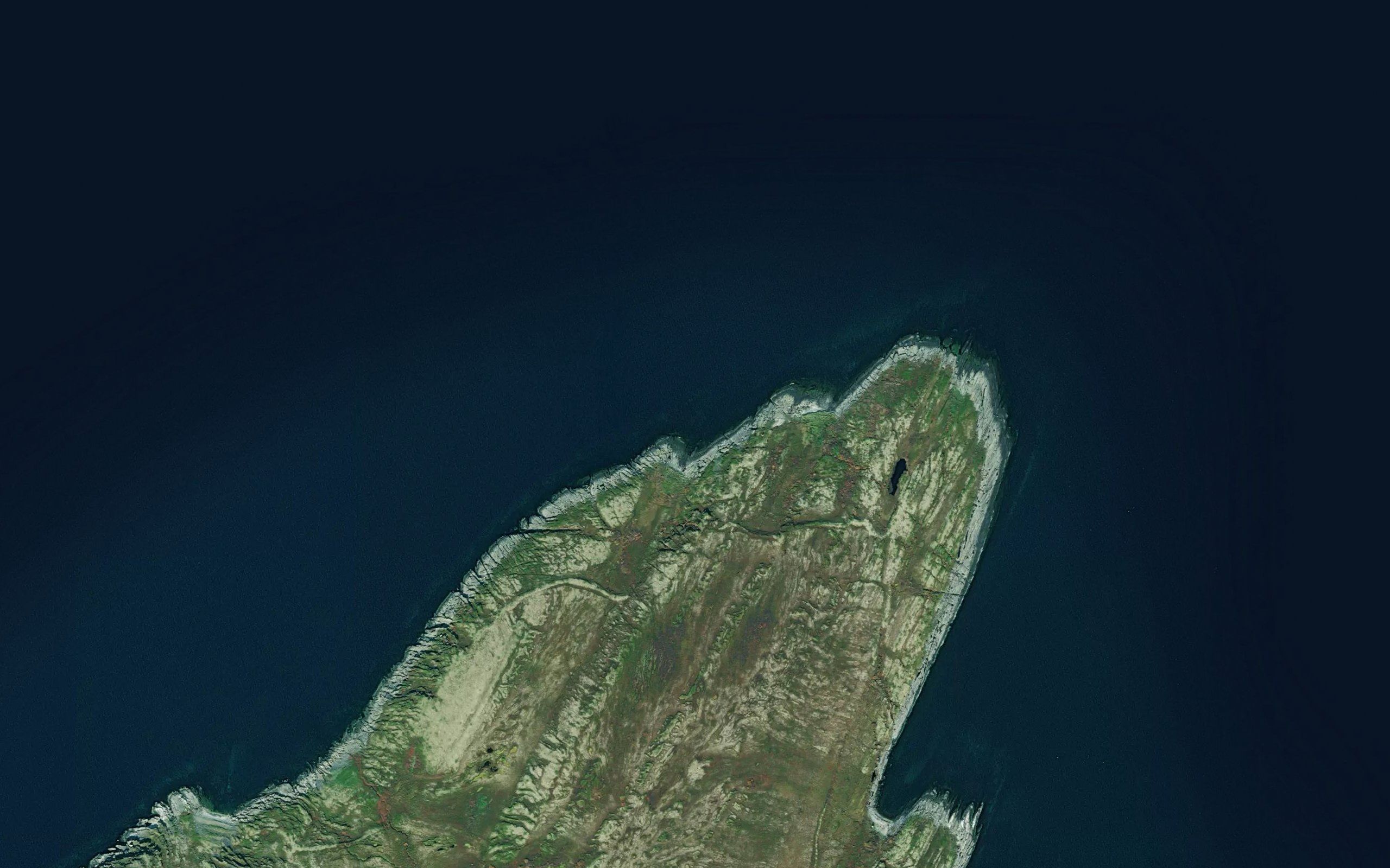 Gronevika,in