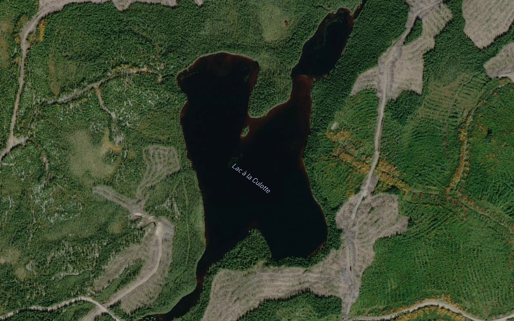 Satellite map of the Lac a la Culotte