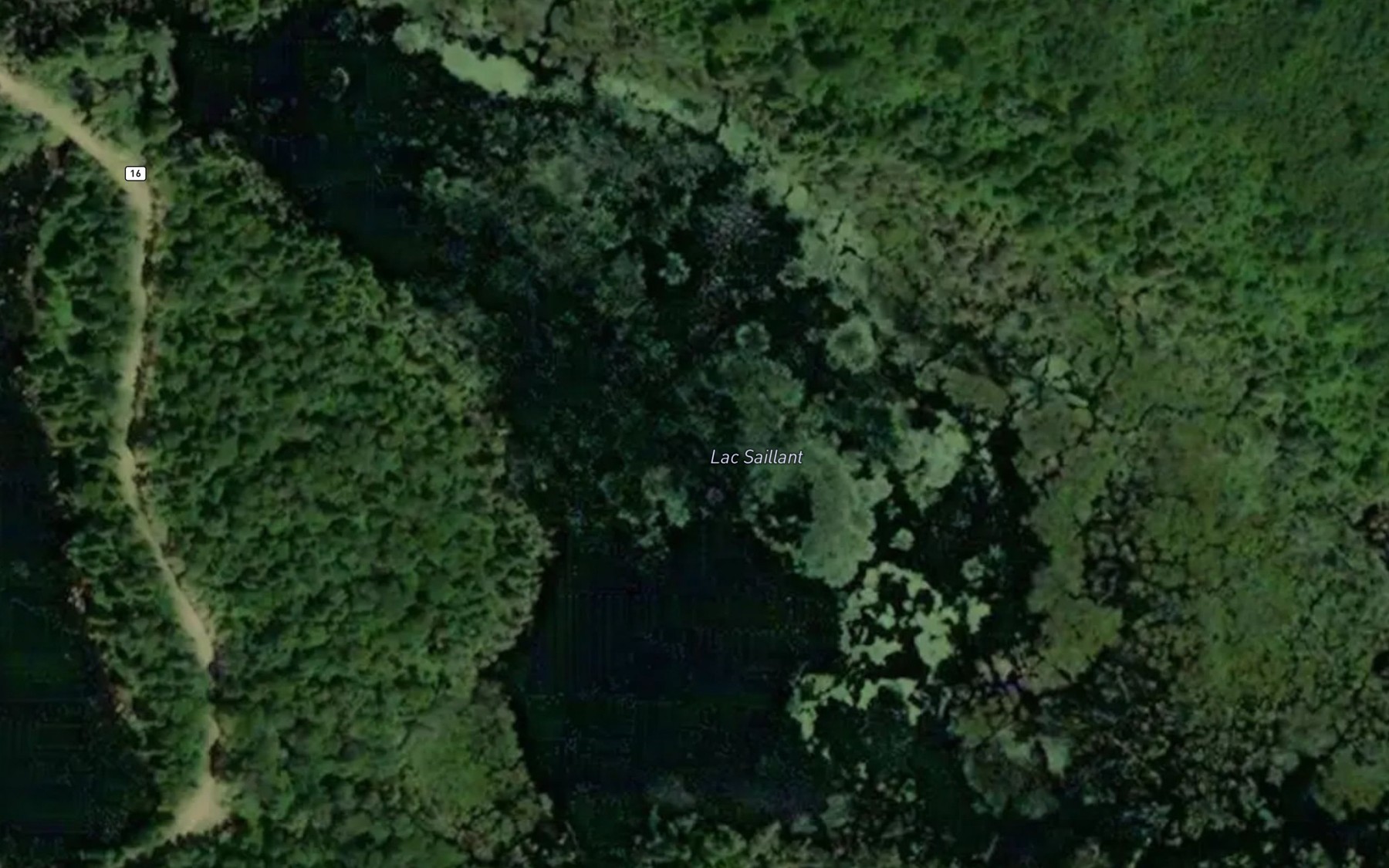 Satellite map of the Lac Saillant