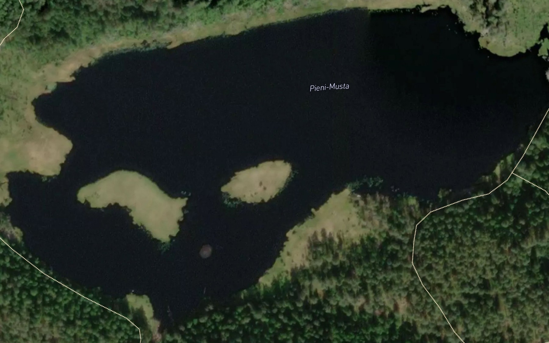 Satellite map of the Pieni-Musta