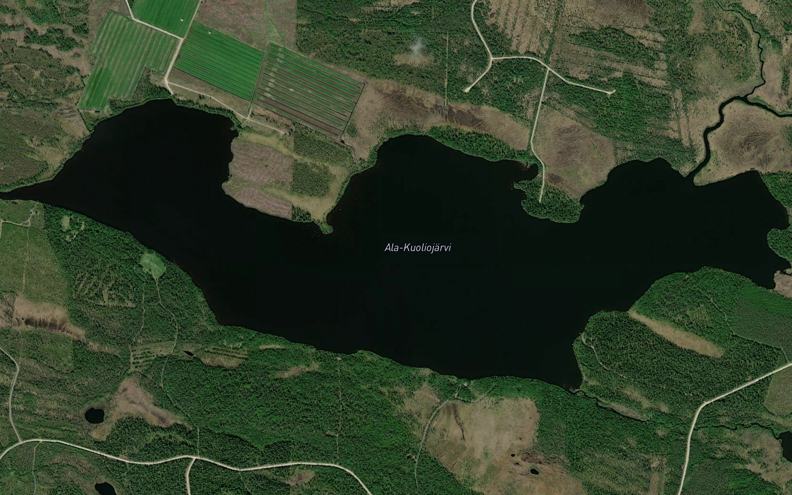 Ala Kuoliojarvi