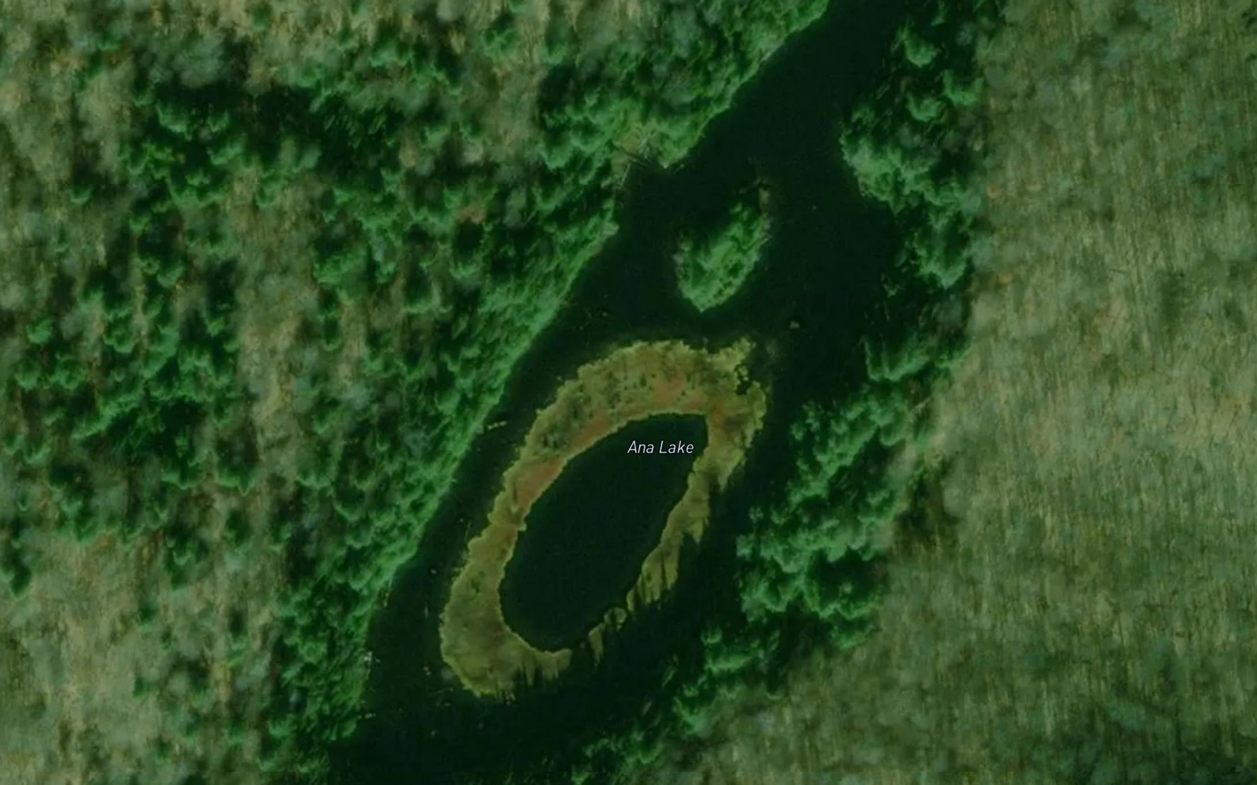 Satellite map of the Ana Lake