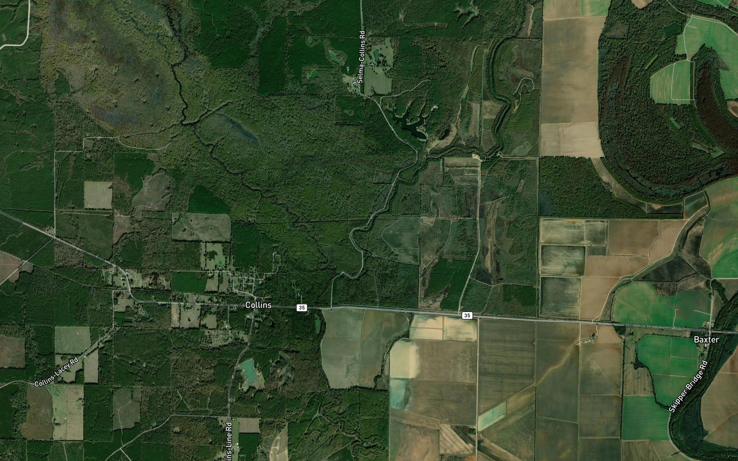 Dry Bayou
