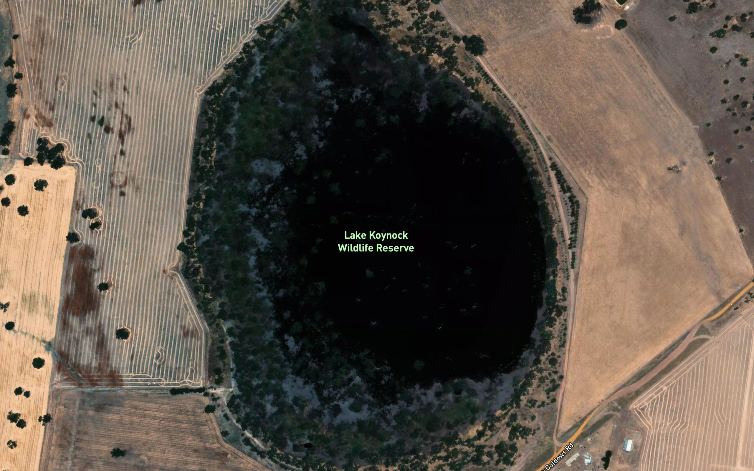 Lake Koynock