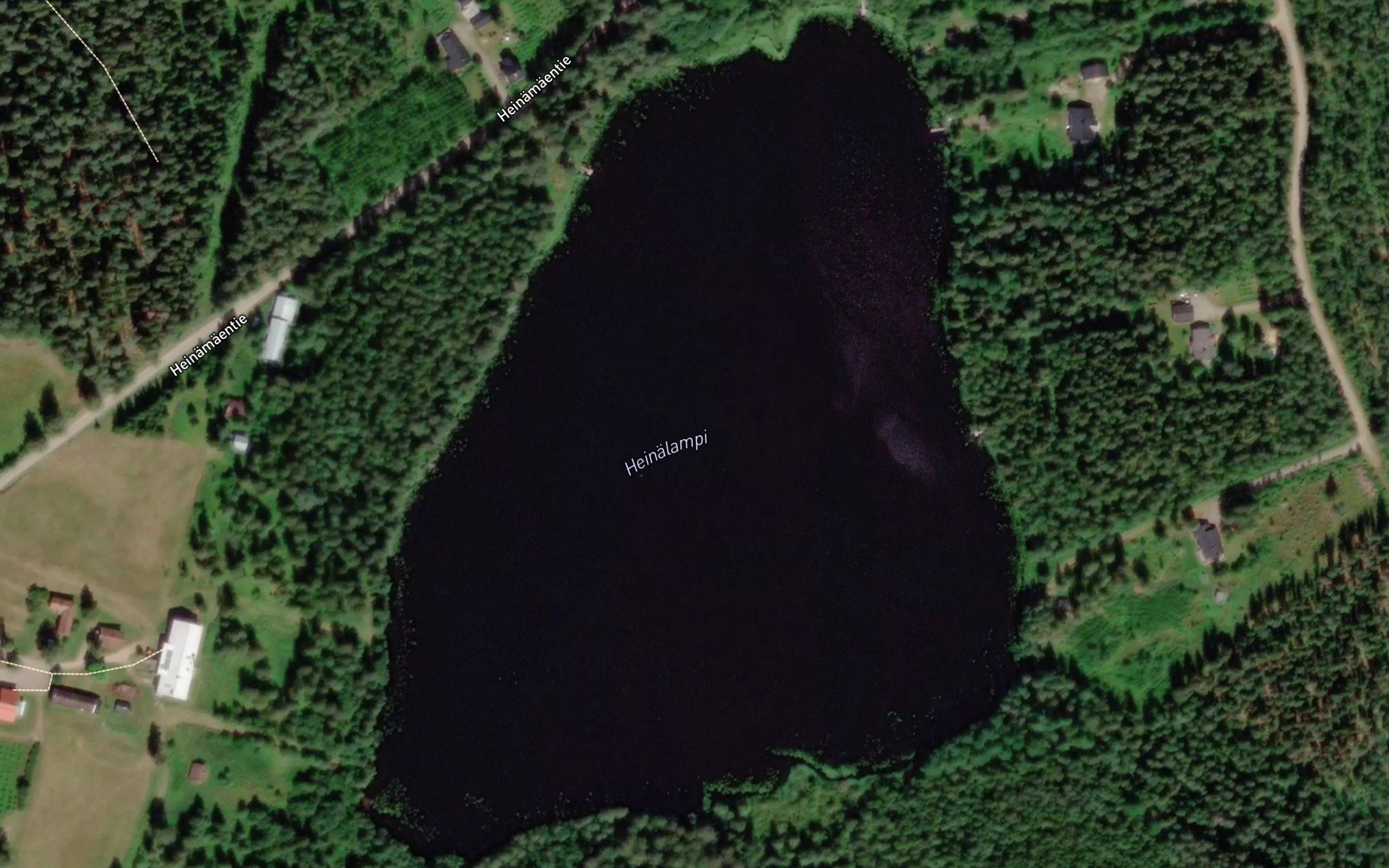 Heinalampi