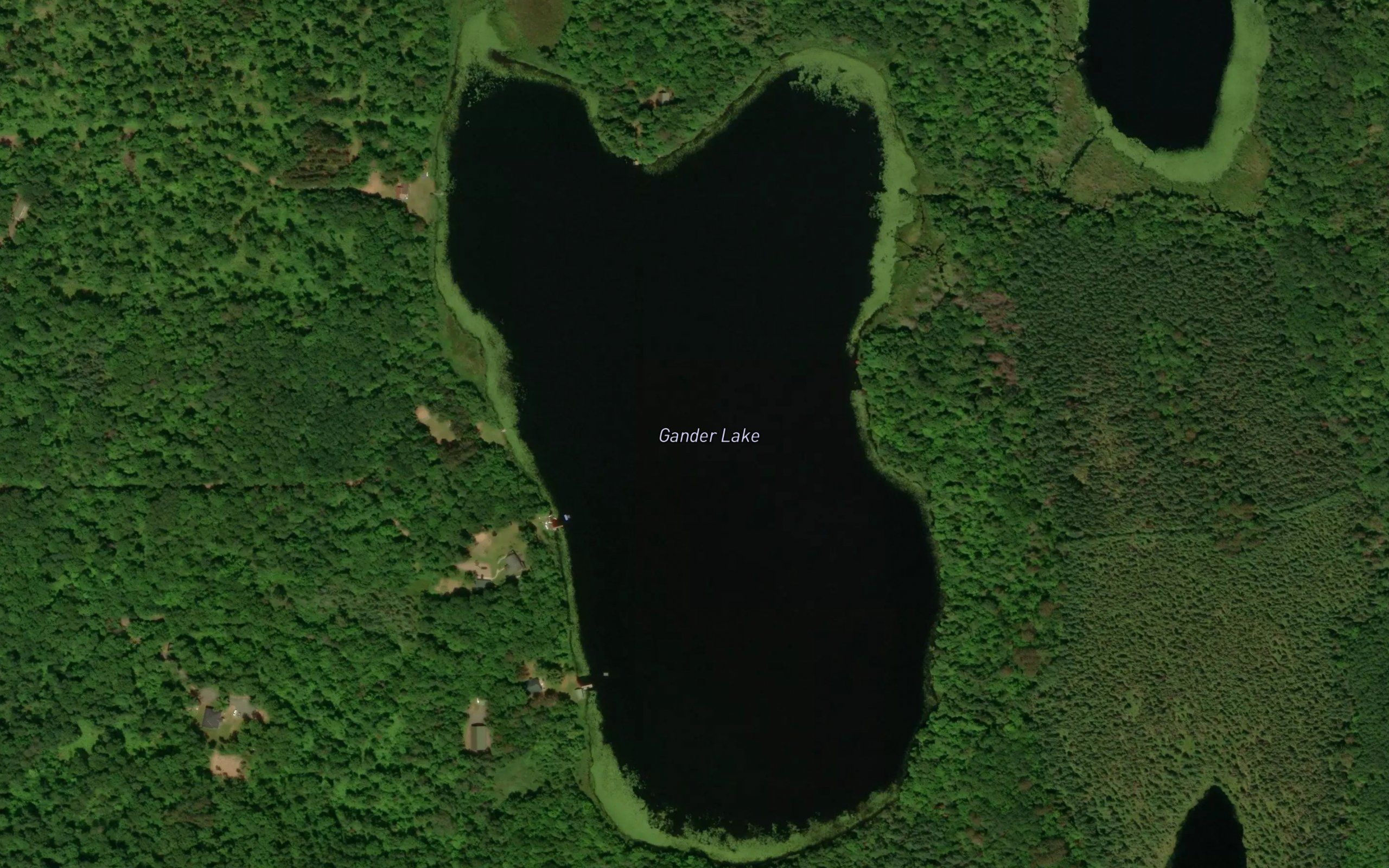 Gander Lake